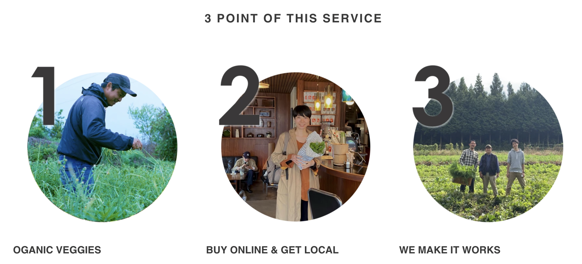 サービスの3つのポイント WAHT VEGGIES WE SHARE, BUY ONLINE & GET LOCAL, WE MAKE IT WORKS