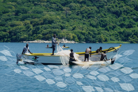 リーフレット表紙に使用されている写真