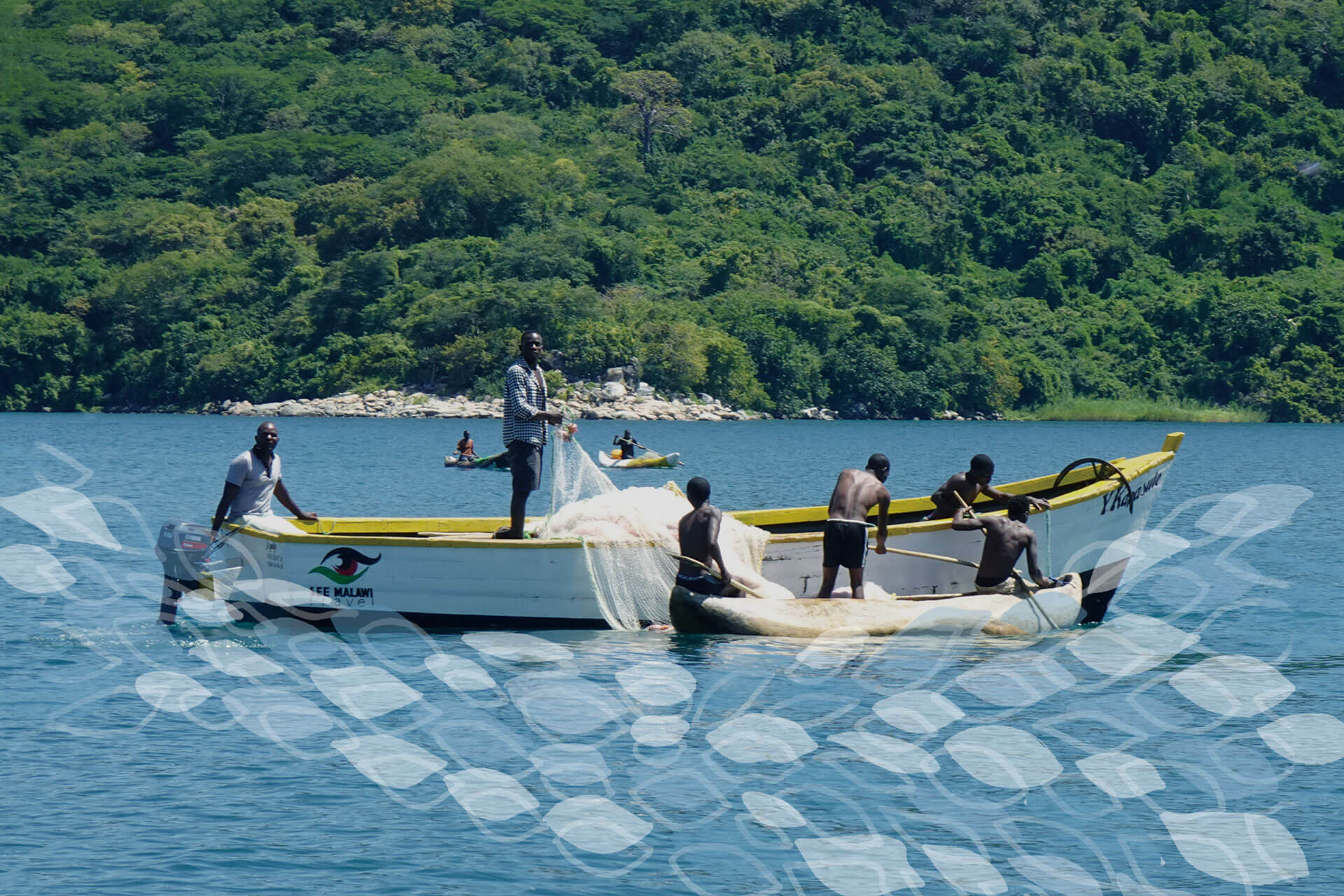 リーフレット表紙に使用されている写真