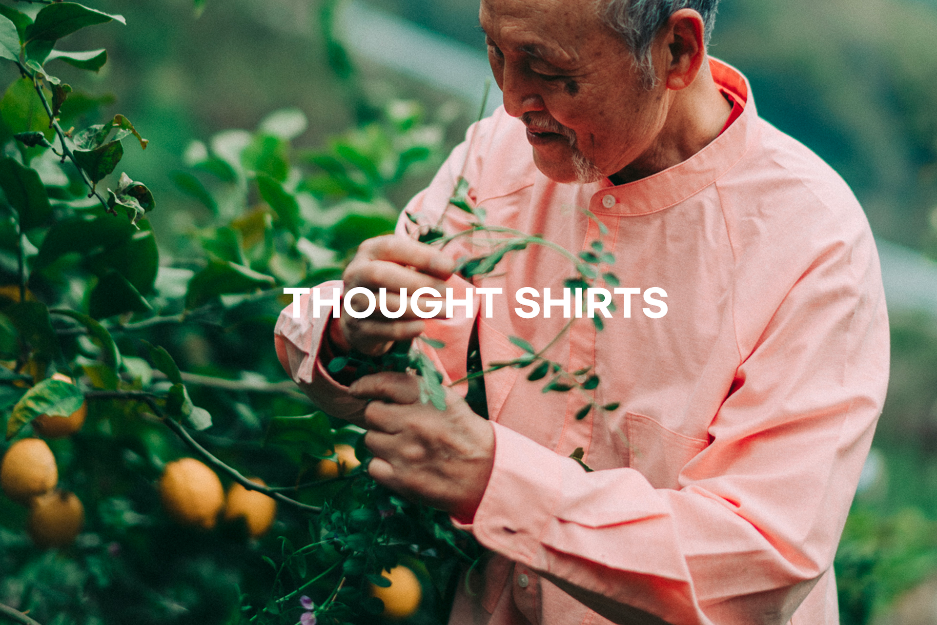 SOLITのTHOUGHT SHIRTS
